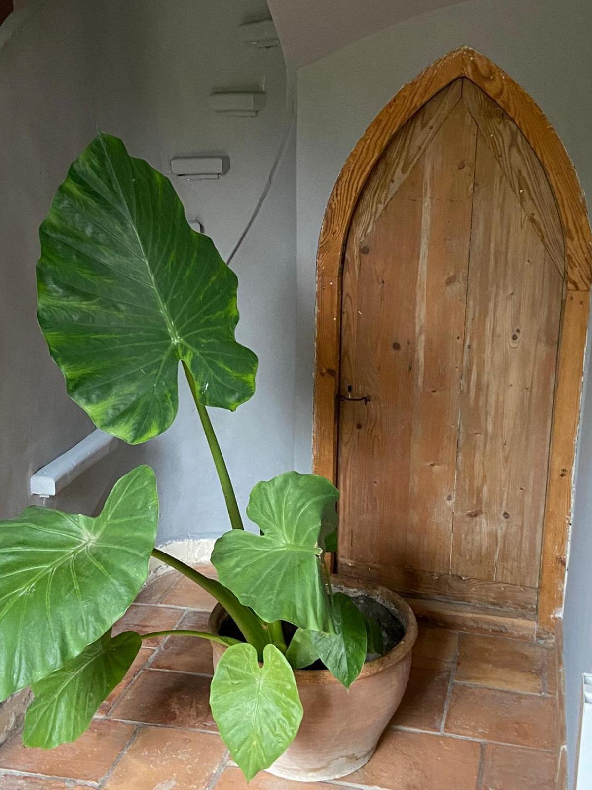 Cabannes Mas Carita B&B 외부 사진